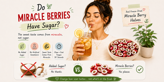 Woman sipping iced lemon tea next to freeze-dried miracle berry halves with notes explaining no added sugar, no artificial sweeteners and sweet taste from miraculin.