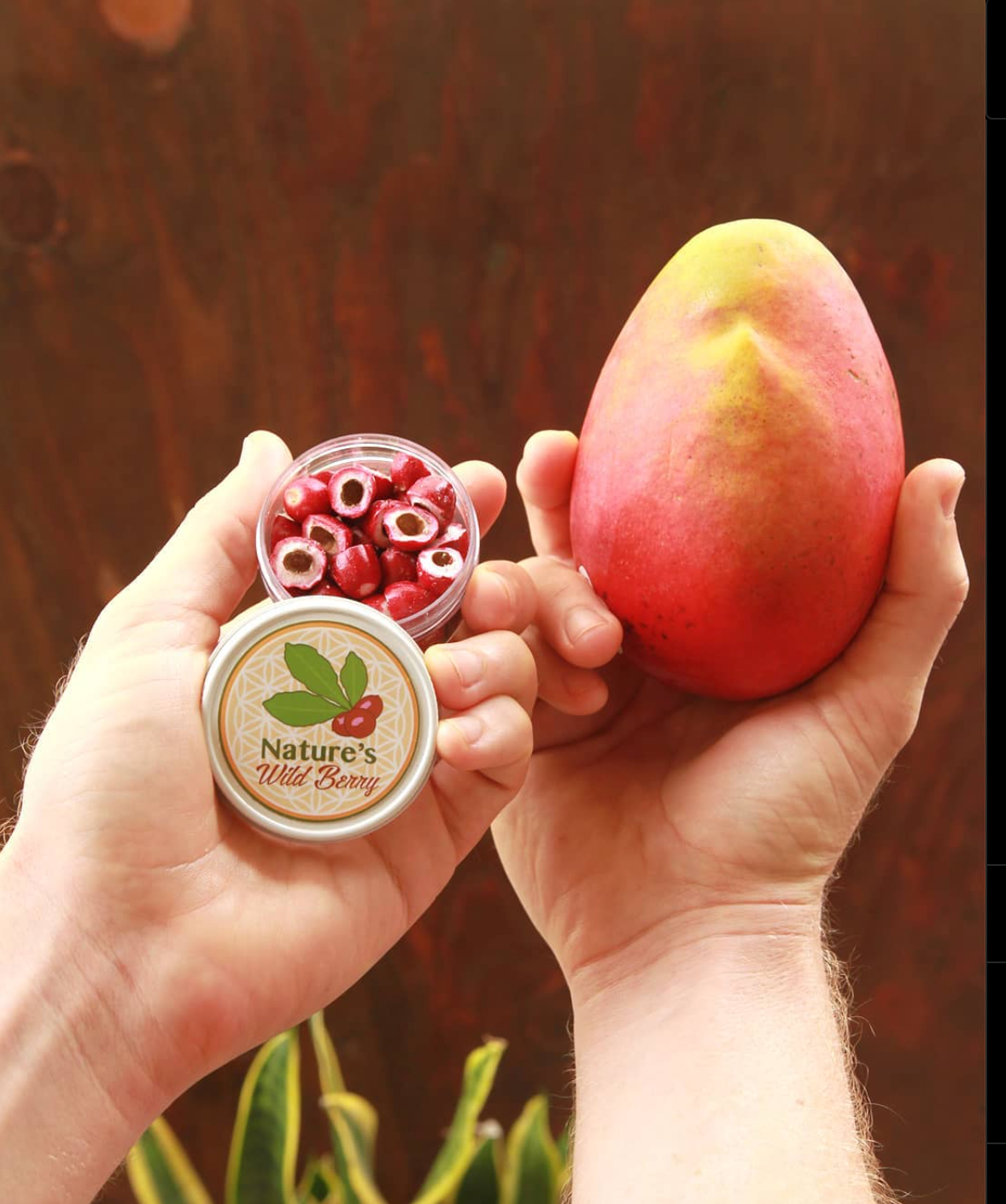 30 Years of Failure? Let’s Go – Nature's Wild Berry