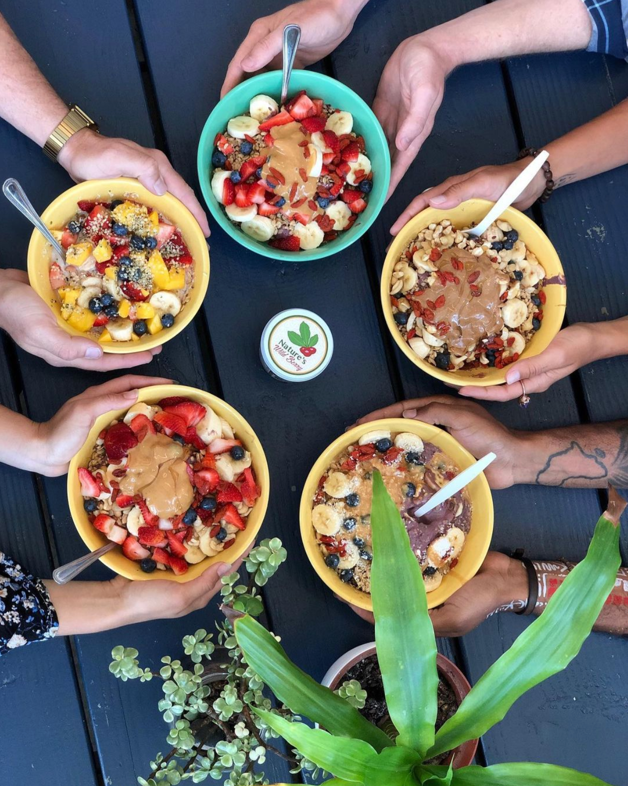 Weighing Our Chances – Nature's Wild Berry