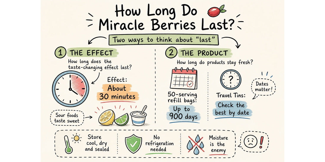 Infographic explaining how long miracle berries last, including a 30-minute taste effect, 900-day refill bag shelf life and best by dates for Travel Tins