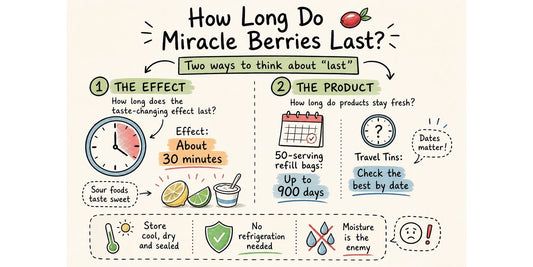 Infographic explaining how long miracle berries last, including a 30-minute taste effect, 900-day refill bag shelf life and best by dates for Travel Tins