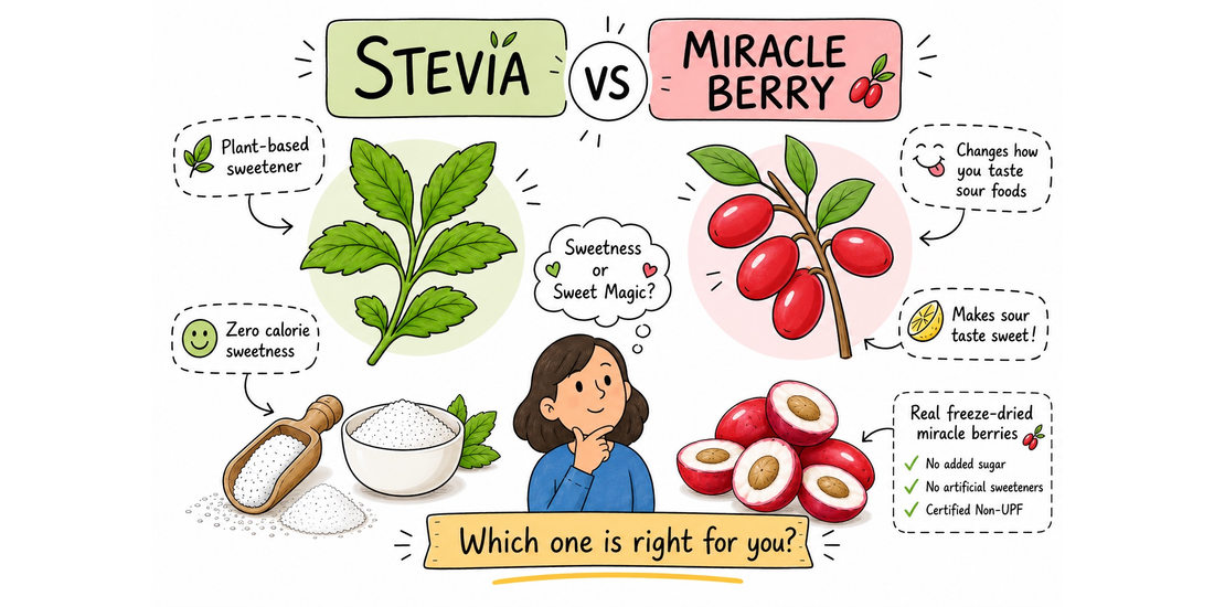 Stevia vs miracle berry comparison graphic showing stevia leaves, sweetener granules and freeze-dried miracle berry halves with notes about no added sugar and changing how sour foods taste.