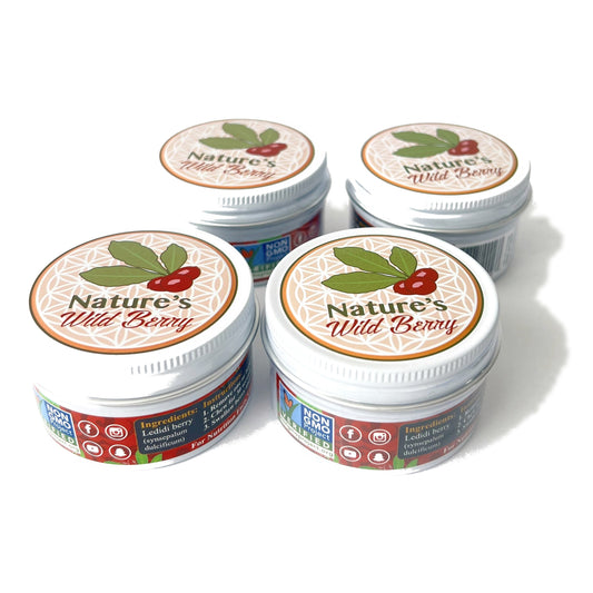 Photograph of four Nature's Wild Berry aluminum travel jars of freeze-dried miracle berries arranged as a case of four on a white background